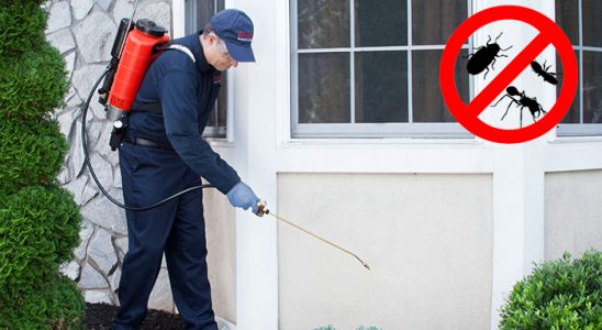 Yeşilhisar Akrep İlaçlama böcek ilaçlama ve haşere kontrolü — ilaclama-tr.com